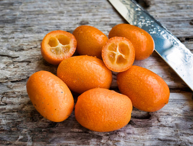 Comment récolter vos kumquats ?