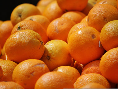 Comment récolter les oranges de votre jardin ?